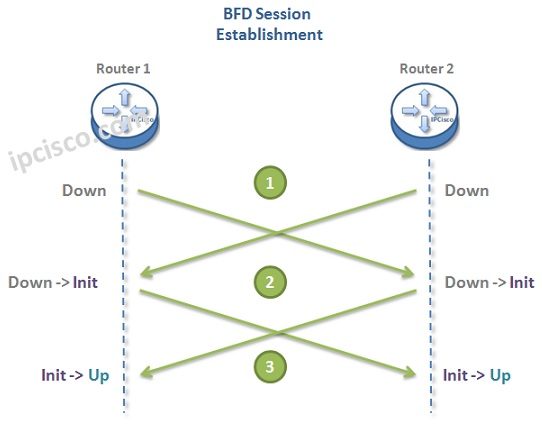 bfd-session-establishment