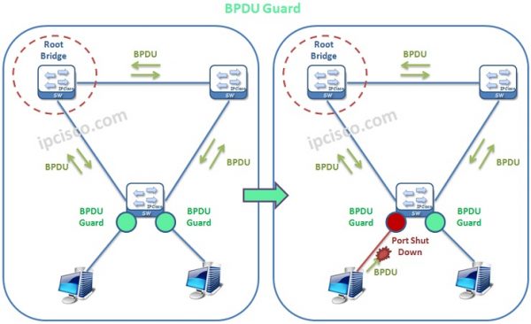 Portfast root guard bpdu filter and bpdu guard ipcisco