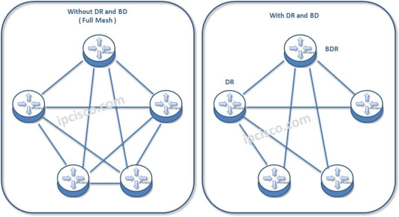 OSPF States | OSPF Adjacency | DR & BDR Election | ⋆ IpCisco