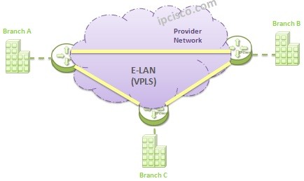 e-lan-vpls-topology