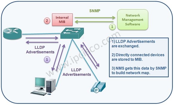 how-lldp-works