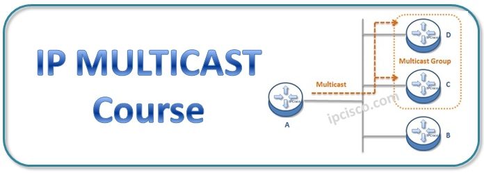 ip-multicast-course-ipcisco