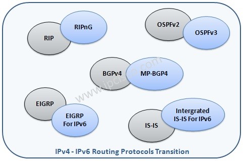 ipv4 ipv6 routing protocols transition
