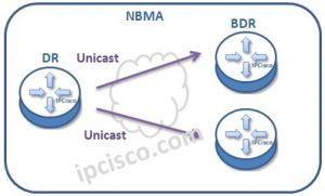 OSPF Network Types | Broadcast | NBMA | P2P | P2MP ⋆