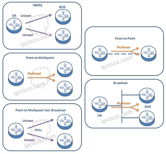 ospf-network-types