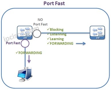 port-fast-example