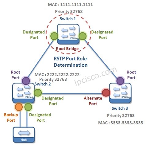 rstp-port-roles