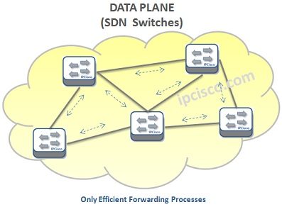 sdn-data-plane