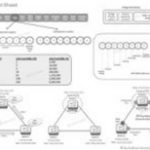 stp-cheat-sheet-um