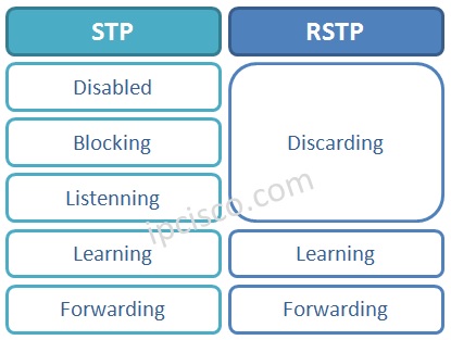 stp-rstp-port-roles-comparison