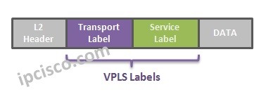 vpls-labels-ipcisco