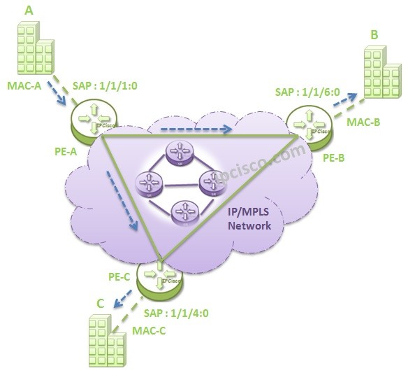 vpls-mac-learning-2