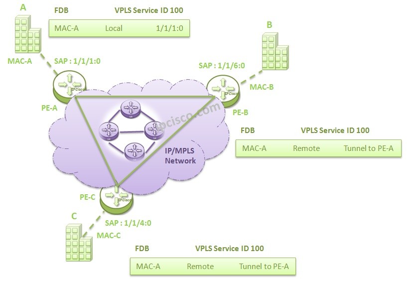 Virtual MAC subnetting for VPLS