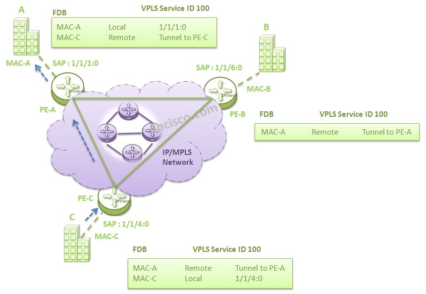 vpls-mac-learning-4